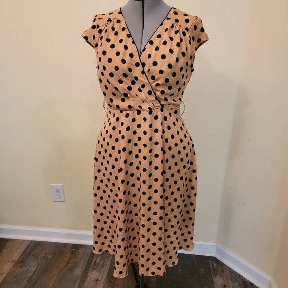 Lindy Bop Dresses & Skirts - Lindy Bop polka dot dress - 2XL